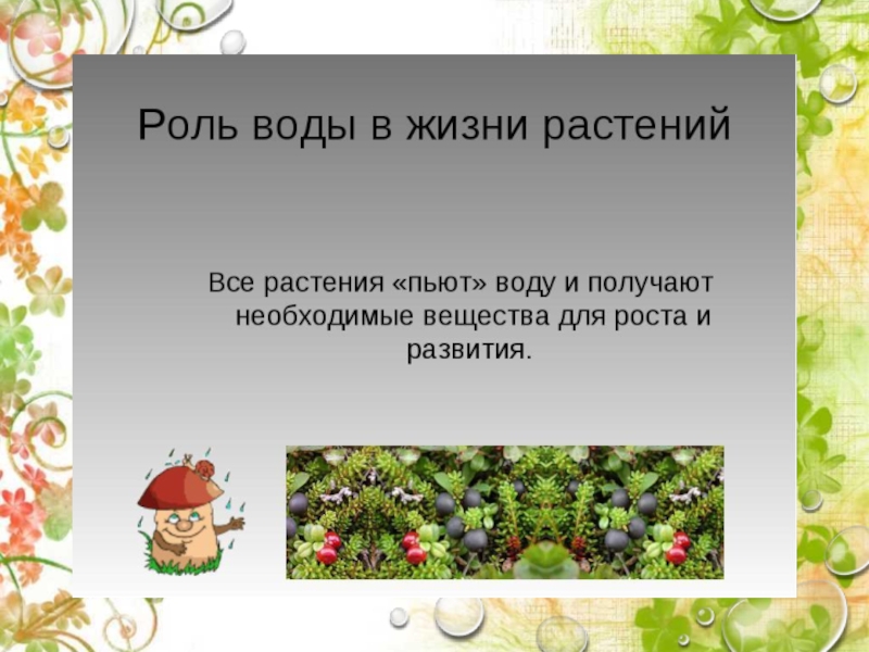 Вода в жизни растений. Роль воды в жизни растений. Дошкольникам о роли воды в жизни растений. Значение воды в мире растений. Роль воды в жизни растений схема.