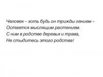 Презентация по биологии на тему Покрытосеменные