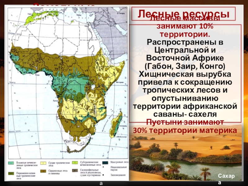 Природные условия африки кратко