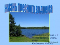 Проект по окружающему миру на тему Жизнь пресного водоёма