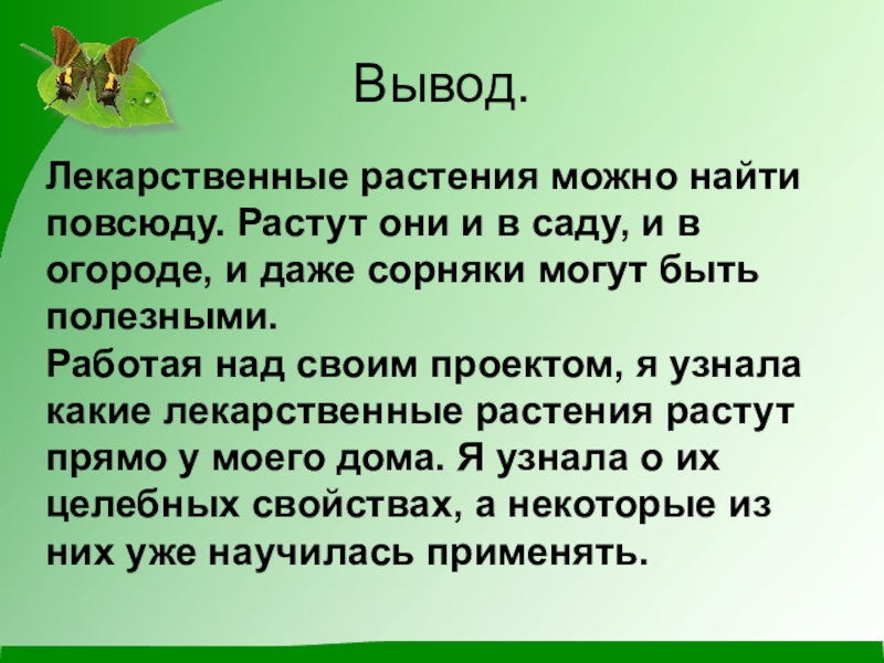 Домашние зеленые лекари проект по биологии 6 класс