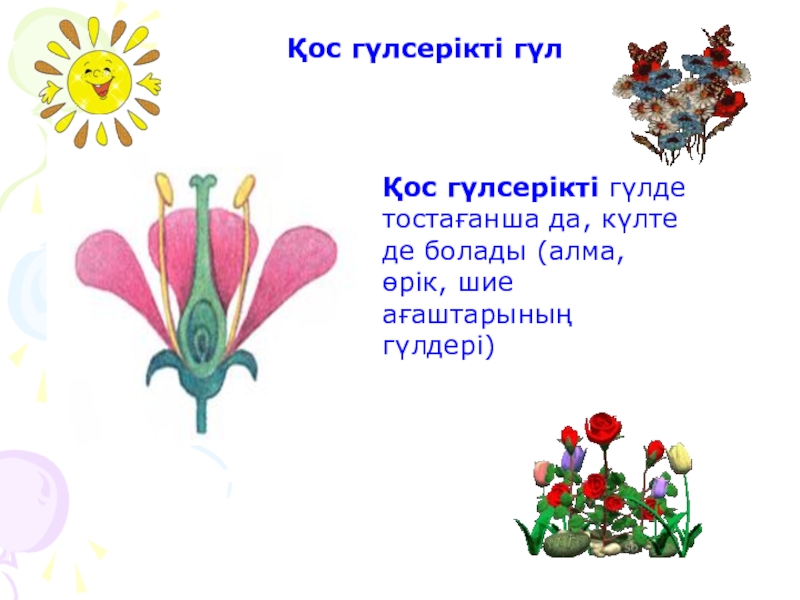 Гүлдің құрылысы. Гүл презентация. Гүл құрылысы презентация. Презентация Гүлдер. Гүлдің құрылысы презентация.