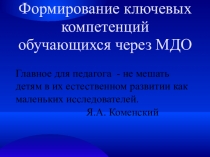 Значимость междисциплинарного обучения в начальной и средней школе