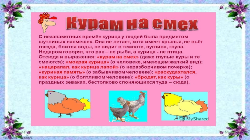 Курам на смех фразеологизм. Курам на смех фразеологизм. Курам на смех происхождение. Интересные факты о курицах и петухах. Высказывания про курицу.