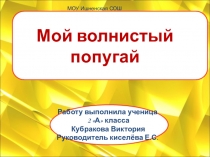 Исследовательская работа на тему Животные живого уголка