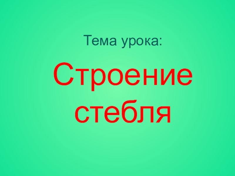 Презентация 6 класс строение стебля презентация