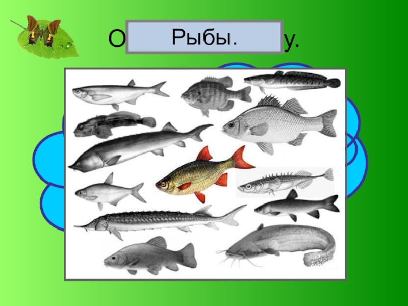 Рыбы примеры 3 класс. Группа животных рыбы. Рыбы окружающий мир. Рыбы названия окружающий мир. Рыбы 2 класс.