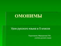 Презентация по русскому языку Омонимы (5 класс)