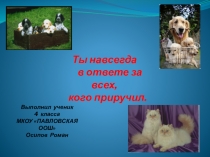 Презентация проекта Ты в ответе за тех,кого приручил