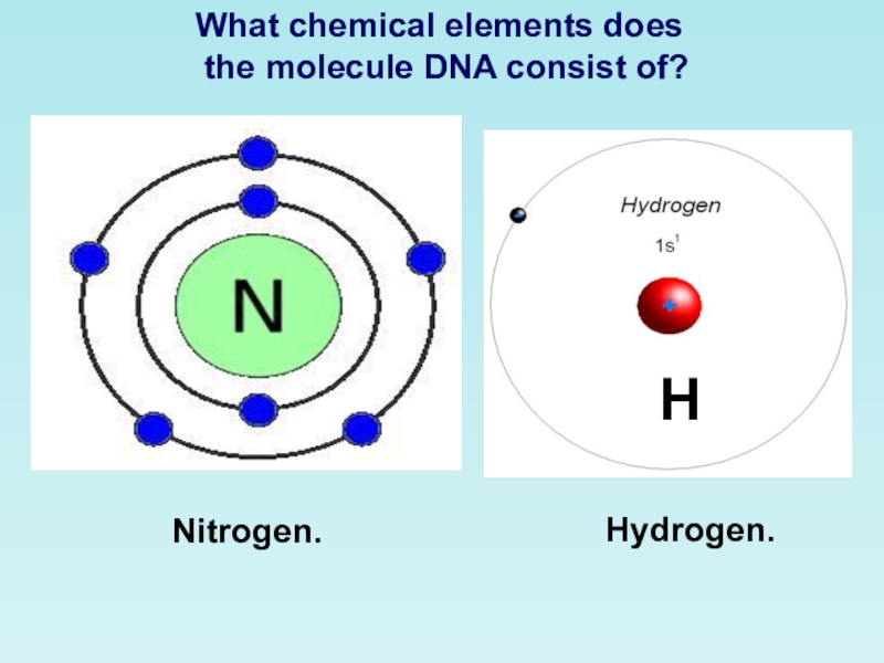 Бинарные химические элементы. What are Chemical elements?. What element does Cyno use.