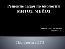 Презентация Решение задач по биологии Мейоз. Митоз