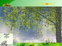 Почему листья зеленые, биология,