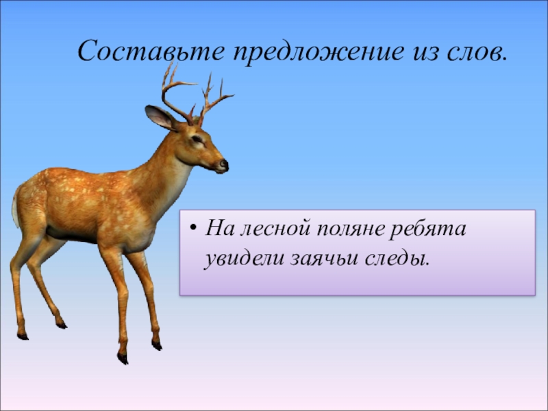 Лесной предложение. Предложение со словом Лесной. Предложение с лесными словами. Предложение со словом лес. Предложение со словом Ле.