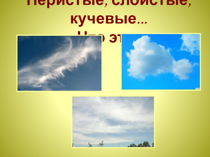 Определите какие облака перистые слоистые кучевые изображены на рисунке 82