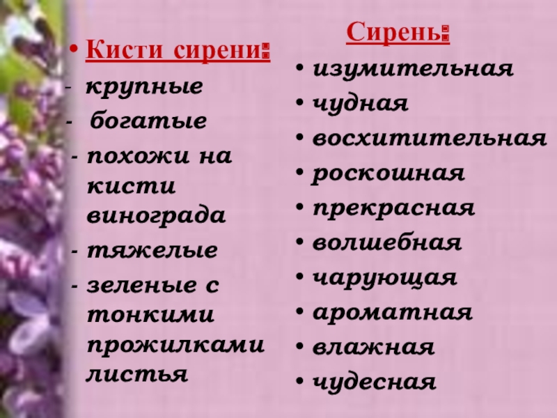 Подготовка к сочинению сирень в корзине 5 класс презентация