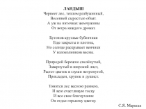 Презентация к метапредметной работе в 6 классе Как можно по-разному рассказать о ландыше