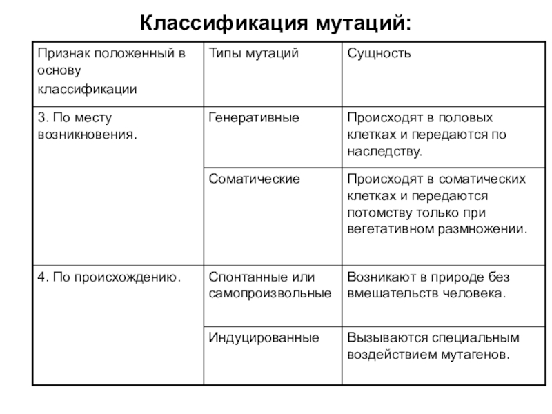 Мутационная изменчивость схема