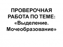 Проверочная работа по теме Выделение. Мочеобразование