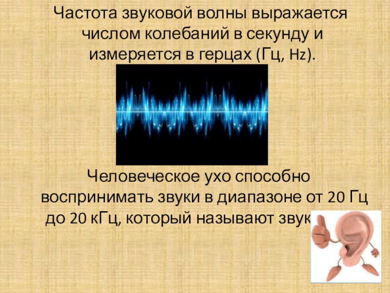 Частота звука называется. Звуковые частоты. Звуковая волна. Частота звука. Частота колебаний звуковых волн.