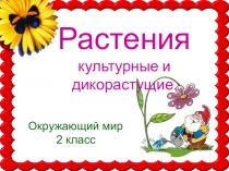 Растения культурные и дикорастущие.