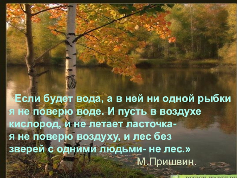 О некоторых способах выжить в природе презентация