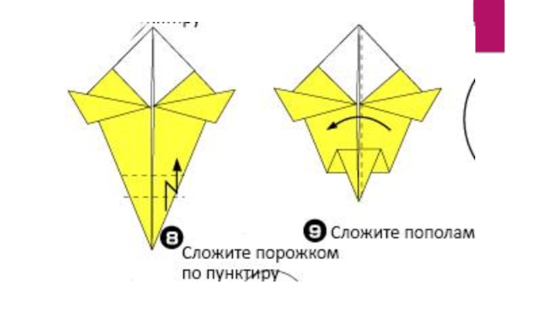 Полеты птиц изделие попугай презентация 1 класс