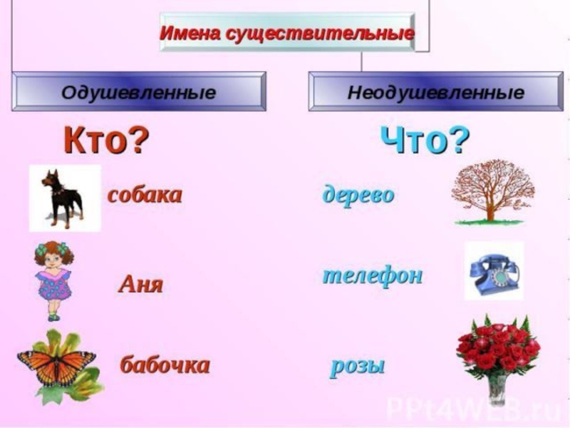 Русский язык 1 класс презентация слова отвечающие на вопросы кто что 1 класс