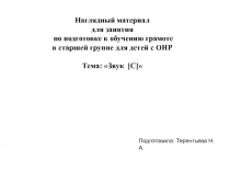 Презентация Дидактический наглядный материал для занятия по развитию связной речи в старшей логопедической группе для детей с ОНР