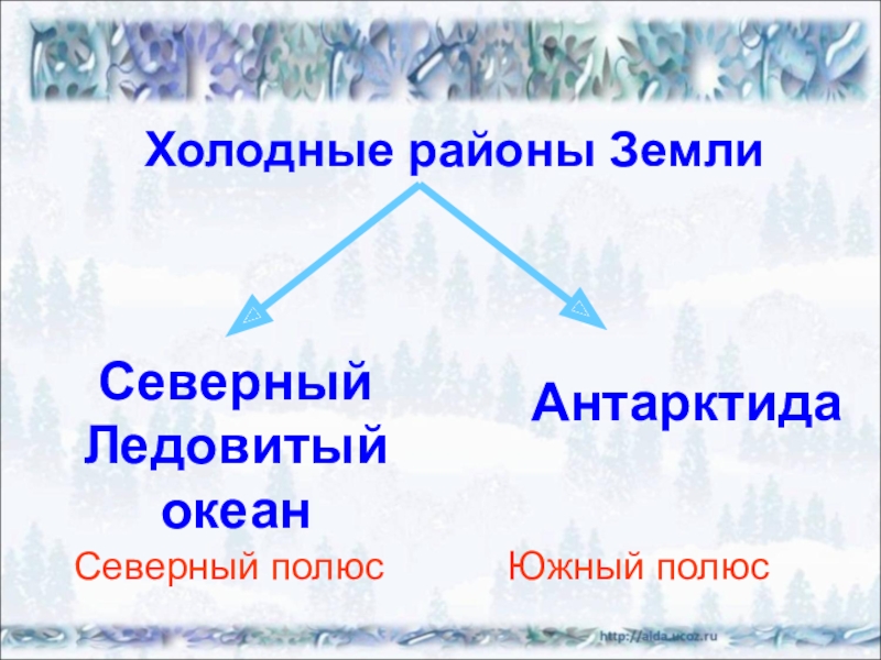 Презентация по окружающему миру 1 класс где живут белые медведи