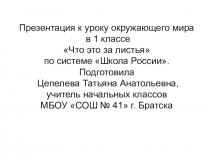 Презентация по окружающему миру на тему Что это за листья? (1 класс)