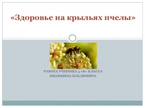 Презентация Здоровье на крыльях пчелы