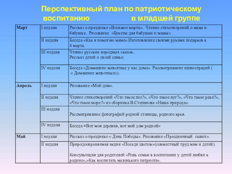 Отчет по реализации проекта по патриотическому воспитанию