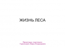 Жизнь леса