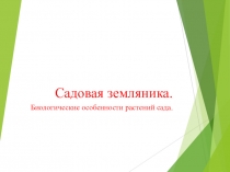 Урок на тему Семейство Розоцветные. Земляника,