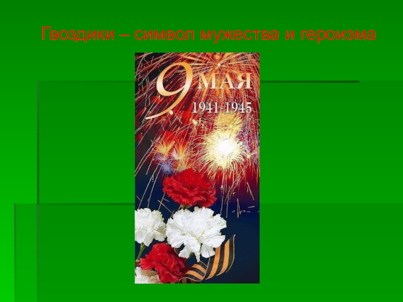 Стал символом мужества. Символ Мужества. Символ Мужества и героизма. Что символизирует гвоздика. Гвоздика символ.