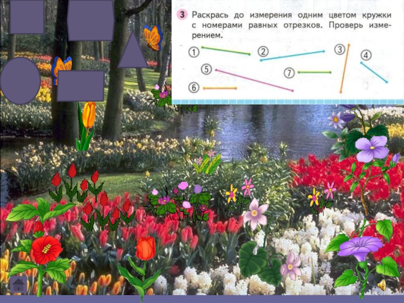 Проверьте измерение. Раскрась до измерения одним цветом. Раскрась до измерения одним цветом кружки с номерами. Раскрась до измерения одним цветом кружки с номерами равных. Раскрась одним цветом кружки с номерами равных отрезков.