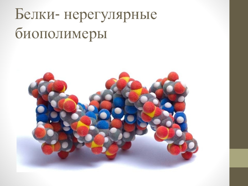 Биополимеры биология презентация