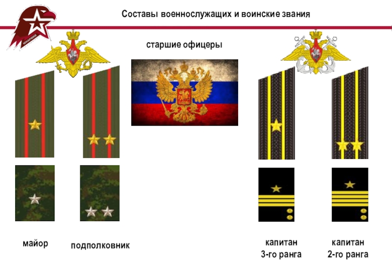 Состав военнослужащих. Воинские звания майор Капитан. Майор подполковник звания. Старшие офицеры в воинских званиях. Военные чины майор Капитан.