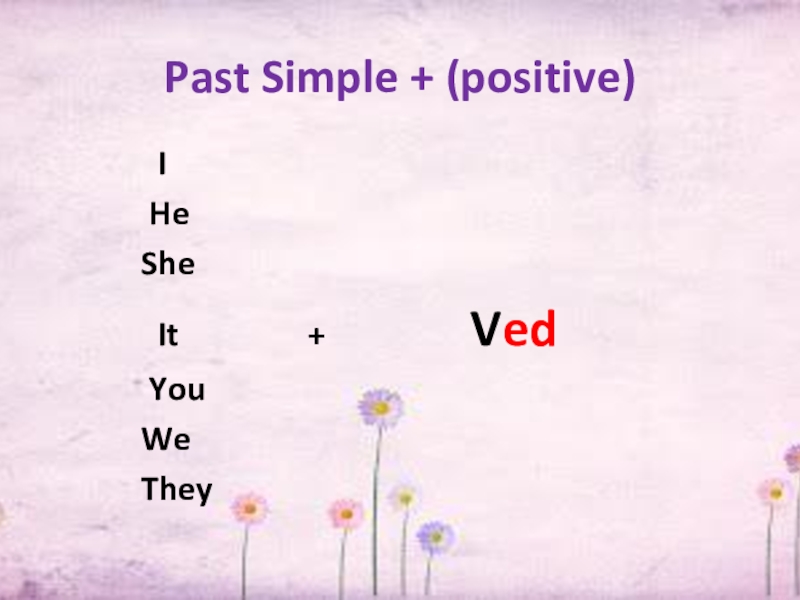Past Simple + (positive)       I