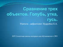 Сравнение трех объектов. Голубь, утка, гусь