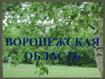 Презентация по окружающему миру Воронежская область (4 класс)