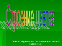 Презентация по биологии на тему: Строение цветка
