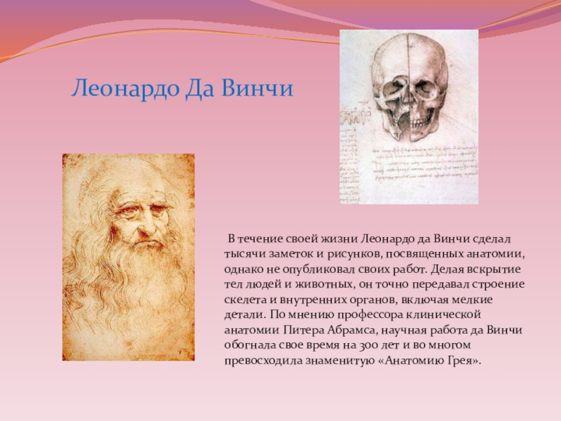 Леонардо открыли. Леонардо да Винчи биология. Леонардо да Винчи вклад в биологию. Леонардо да Винчи заслуги в биологии. Леонардо да Винчи достижения.