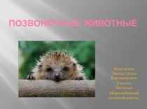 Презентация по теме Позвоночные животные 5 класс