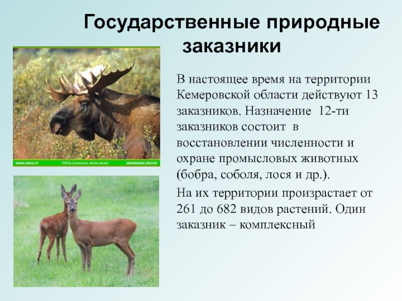 Государственные природные заказники. Государственные природные заказники презентация. Государственные природные заповедники. Назначение заповедников.