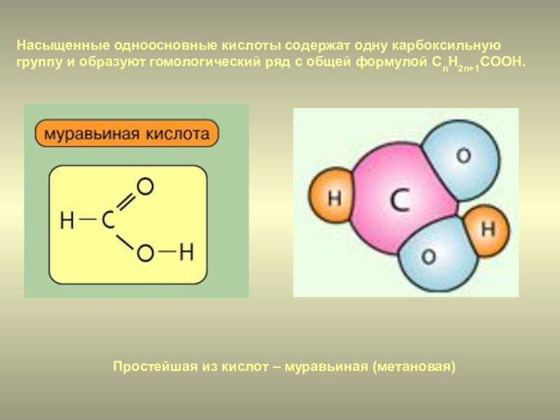 Презентация по химии по муравьиная кислота