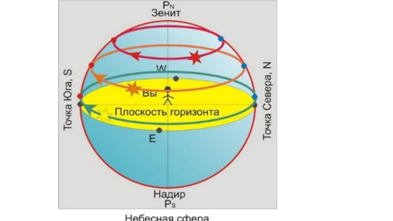 Где находится видимый горизонт. Надир точка небесной сферы. Эклиптика равноденствие солнцестояние. Истинный Горизонт. Плоскость горизонта.