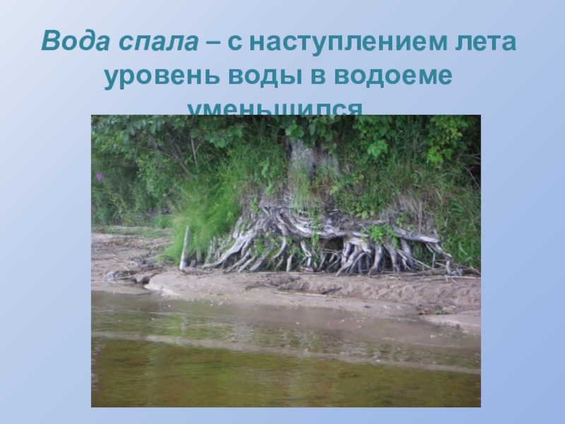 Вода спала – с наступлением лета уровень воды в водоеме уменьшился.