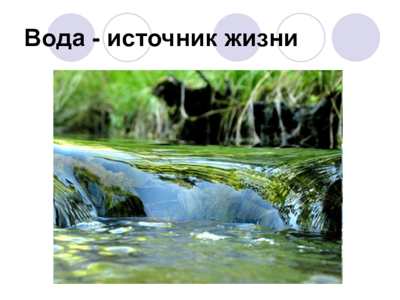 Вода источник жизни