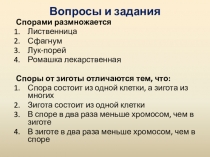Задания по теме: Жизненные циклы растений